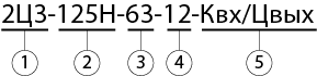 2Ц3 125Н условное обозначение.png 2Ц3 125Н условное обозначение.png
